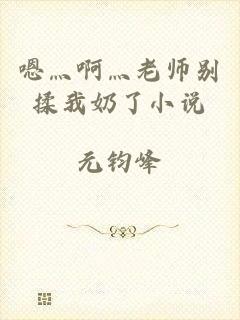 嗯灬啊灬老师别揉我奶了小说