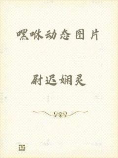 嘿咻动态图片