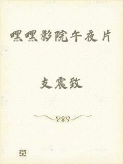 嘿嘿影院午夜片