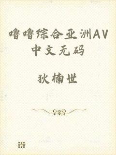 噜噜综合亚洲AV中文无码