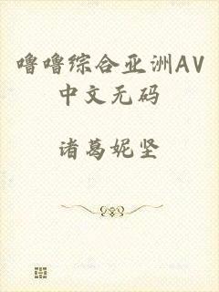 噜噜综合亚洲AV中文无码