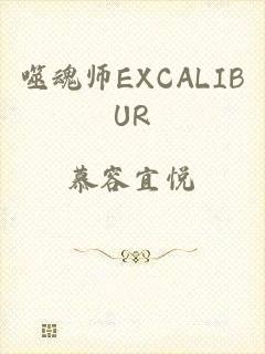 噬魂师EXCALIBUR