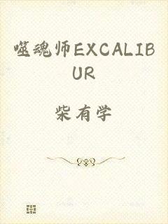 噬魂师EXCALIBUR