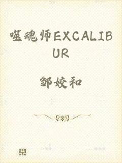 噬魂师EXCALIBUR