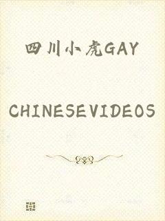 四川小虎GAY_CHINESEVIDEOS