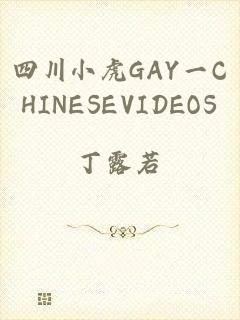 四川小虎GAY一CHINESEVIDEOS