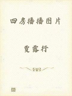 四房播播图片