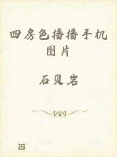 四房色播播手机图片
