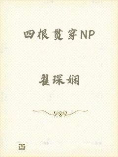 四根贯穿NP