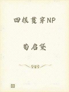 四根贯穿NP