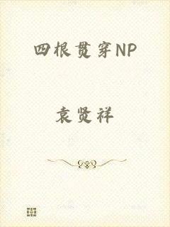 四根贯穿NP