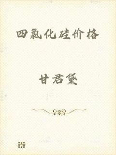 四氯化硅价格