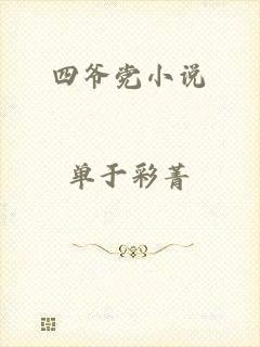 四爷党小说