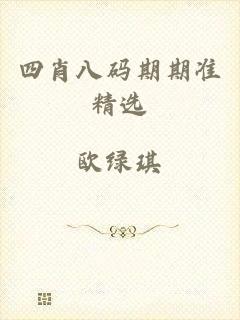 四肖八码期期准精选
