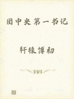 团中央第一书记