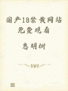 国产18禁黄网站免费观看