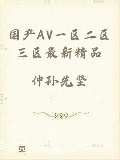 国产AV一区二区三区最新精品