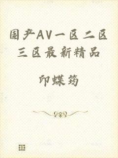 国产AV一区二区三区最新精品