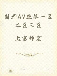 国产AV丝袜一区二区三区