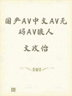 国产AV中文AV无码AV狼人