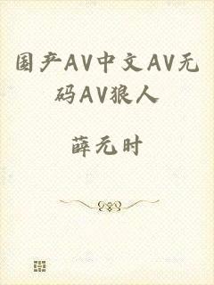 国产AV中文AV无码AV狼人