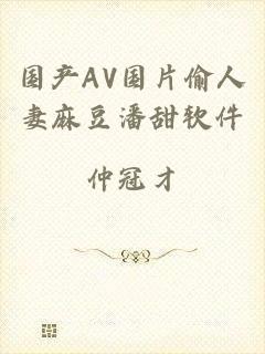 国产AV国片偷人妻麻豆潘甜软件