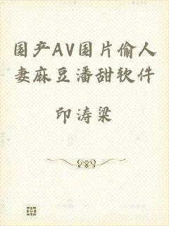 国产AV国片偷人妻麻豆潘甜软件