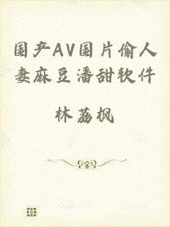 国产AV国片偷人妻麻豆潘甜软件