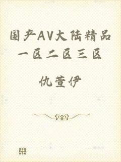 国产AV大陆精品一区二区三区