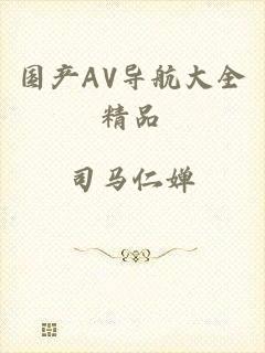 国产AV导航大全精品