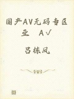 国产AV无码专区亚汌A√