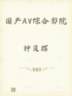 国产AV综合影院