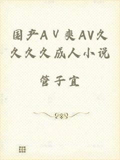 国产AⅤ爽AV久久久久成人小说