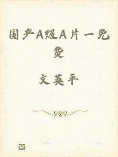 国产A级A片一免费