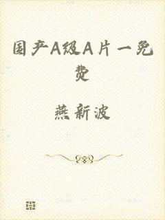 国产A级A片一免费