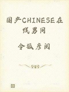 国产CHINESE在线男同