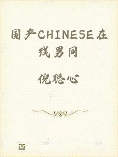 国产CHINESE在线男同