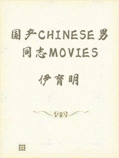 国产CHINESE男同志MOVIES