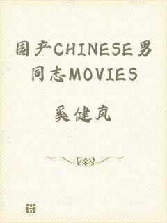 国产CHINESE男同志MOVIES