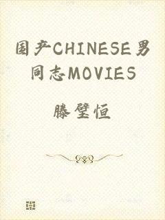 国产CHINESE男同志MOVIES