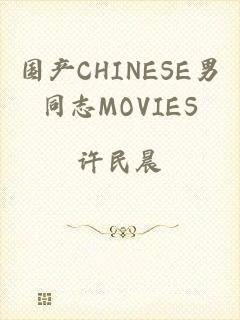 国产CHINESE男同志MOVIES