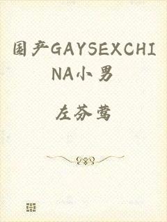 国产GAYSEXCHINA小男