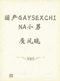 国产GAYSEXCHINA小男