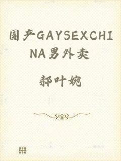 国产GAYSEXCHINA男外卖