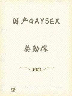 国产GAYSEX