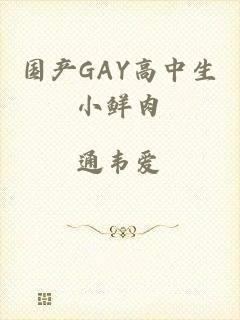 国产GAY高中生小鲜肉