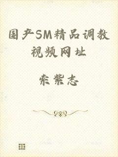 国产SM精品调教视频网址