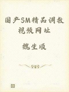 国产SM精品调教视频网址