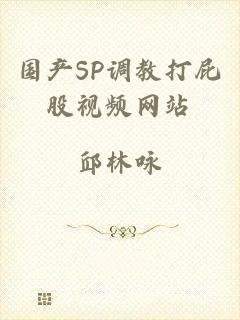 国产SP调教打屁股视频网站