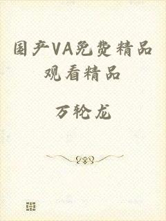 国产VA免费精品观看精品